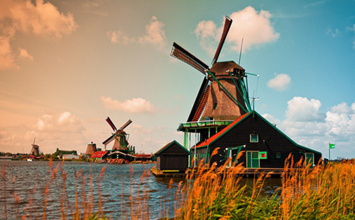 荷蘭留學(xué)人數(shù)激增，為什么？